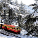 Kalka To Shimla Toy Train Images