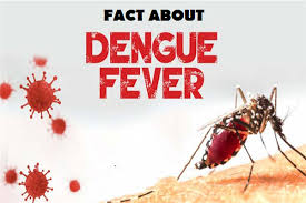 Dengue Fever