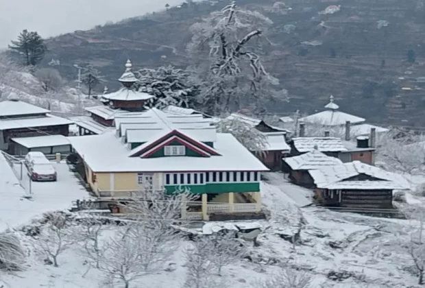 snowfoll shimla Narkanda