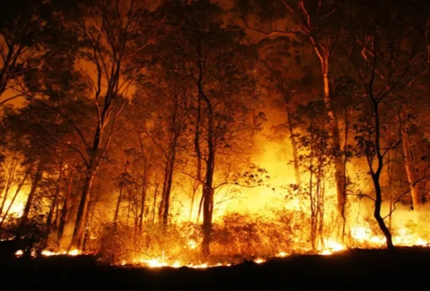 Uttarakhand Forest Fire